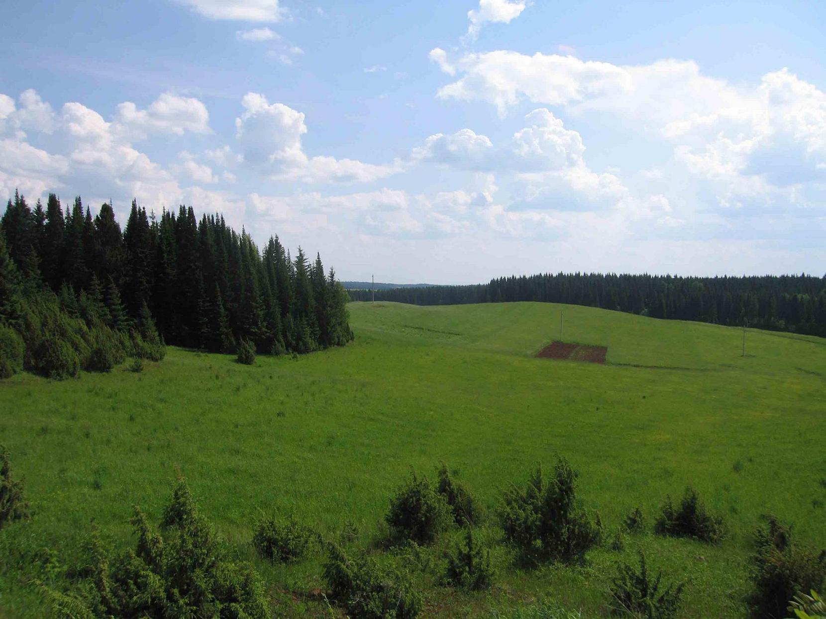 Фото Шарканского Района